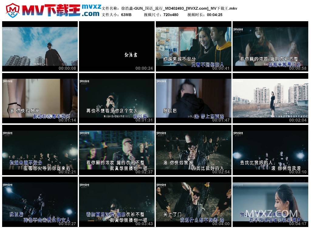 徐浩鑫-GUN_国语_流行_MD402493